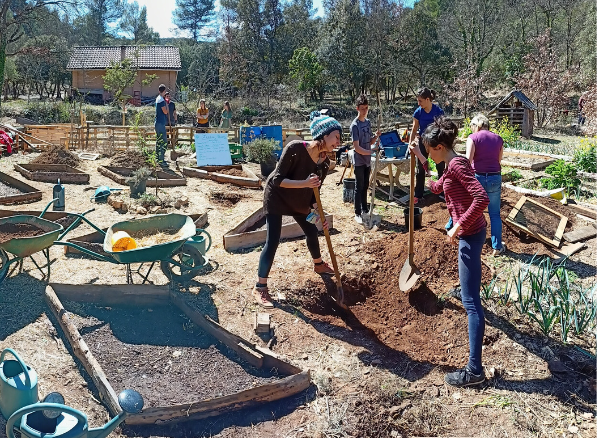 Chantier Participatif