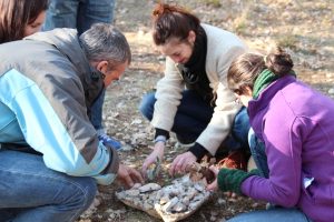 Formation art et nature