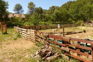 jardin ete 01